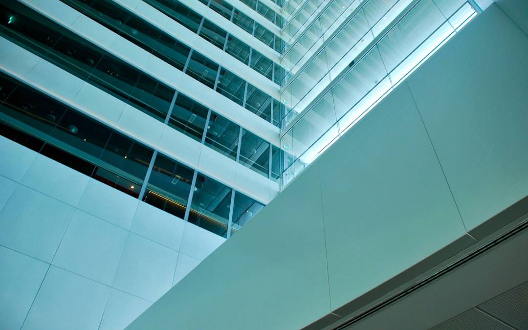 Smart Carpet Care Practices for a Healthier Office Environment