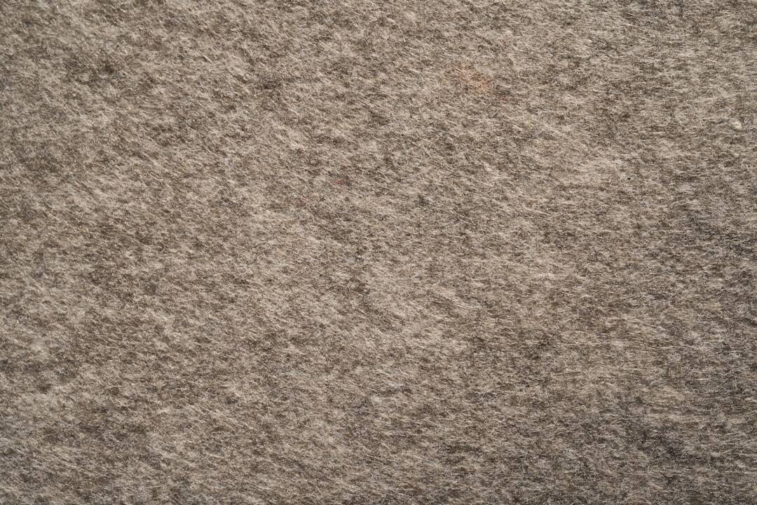 The Role of Carpet Care in Creating a Positive First Impression
