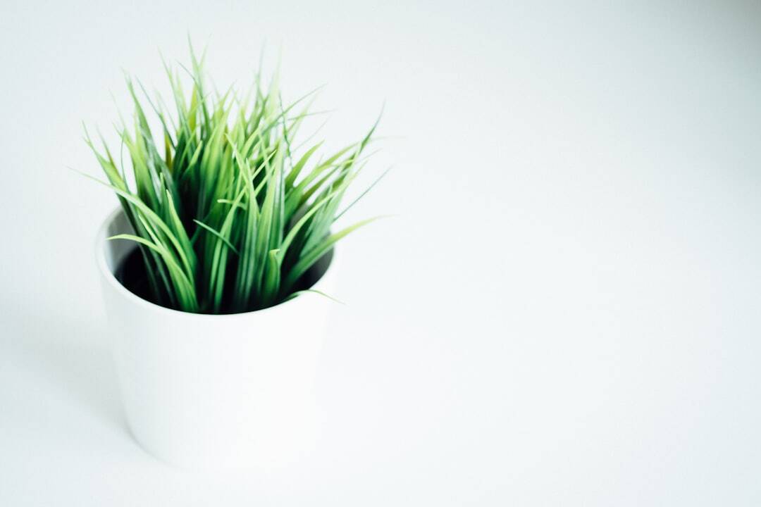 The Benefits of Eco-Friendly Cleaning Products for Offices