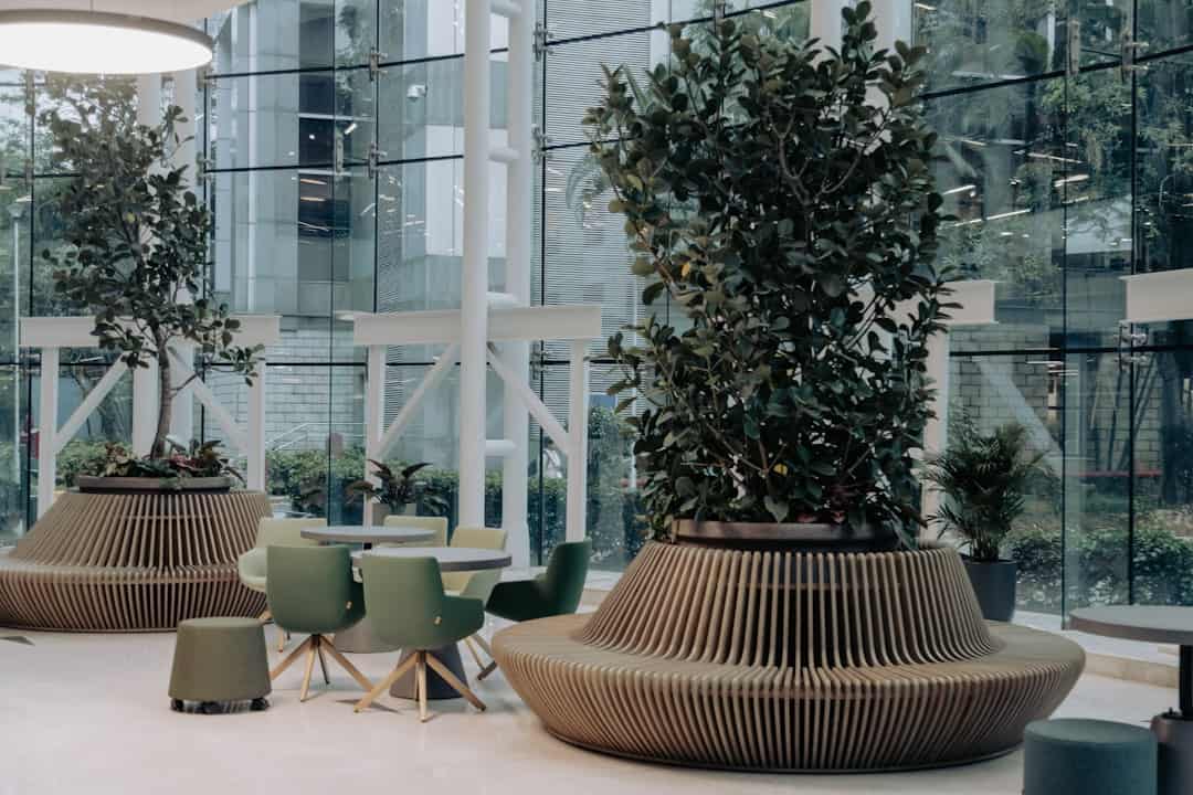 How to Maintain a Professional Office Image Through Cleanliness